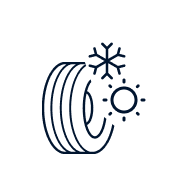 celoletne-pnevmatike